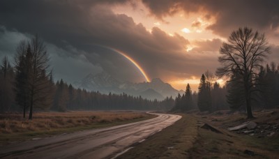 outdoors,sky,cloud,tree,no humans,sunlight,cloudy sky,grass,nature,scenery,forest,sunset,mountain,sun,road,rainbow,bare tree,landscape,path