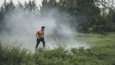 solo,short hair,black hair,1boy,navel,nipples,standing,male focus,outdoors,pants,tree,muscular,facial hair,black pants,abs,grass,pectorals,muscular male,nature,scenery,bara,beard,forest,large pectorals,topless male,mature male,realistic,fog