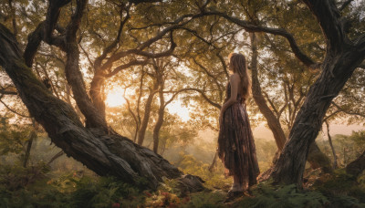 1girl, solo, long hair, skirt, brown hair, dress, standing, outdoors, tree, sunlight, grass, nature, scenery, forest, long skirt