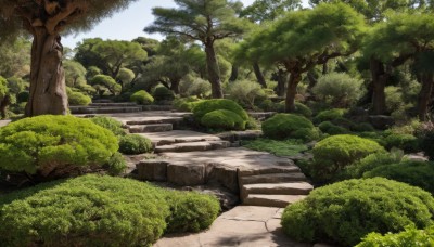 outdoors,sky,day,tree,no humans,grass,nature,scenery,forest,rock,stairs,road,bush,path,moss,cloud,blue sky,plant,river