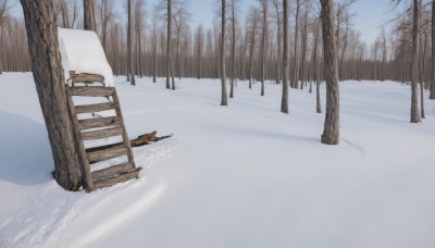 outdoors,day,tree,no humans,nature,scenery,snow,forest,snowing,bench,winter,bare tree,footprints,sky,blue sky,landscape