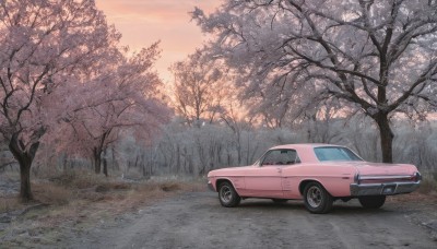 outdoors,sky,cloud,tree,no humans,ground vehicle,nature,scenery,motor vehicle,forest,sunset,car,road,vehicle focus,sports car,grass