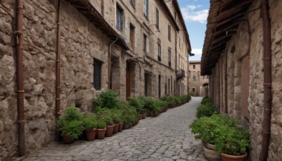 outdoors,sky,day,cloud,blue sky,no humans,window,plant,building,scenery,door,potted plant,road,bush,wall,house,street,alley,shadow,cloudy sky,city,flower pot,town,pavement,vanishing point