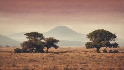 outdoors,sky,cloud,tree,no humans,grass,nature,scenery,sunset,mountain,sand,landscape,monochrome,cloudy sky,sepia,brown theme