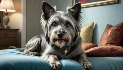 HQ,solo,looking at viewer,open mouth,blue eyes,tongue,indoors,tongue out,collar,pillow,no humans,bed,animal,on bed,dog,realistic,lamp,bedroom,animal focus,picture frame,painting (object),blurry,depth of field,animal collar