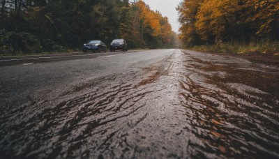 outdoors,day,tree,no humans,sunlight,ground vehicle,nature,scenery,motor vehicle,forest,car,road,vehicle focus,street,photo background,sky,realistic,sports car