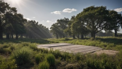 outdoors,sky,day,cloud,tree,blue sky,no humans,sunlight,cloudy sky,grass,nature,scenery,forest,light rays,road,bush,sunbeam,path,landscape