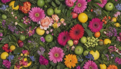 flower,food,no humans,fruit,leaf,plant,white flower,red flower,scenery,pink flower,blue flower,bouquet,yellow flower,purple flower,apple,grapes,orange (fruit),food focus,orange flower,lemon,still life,daisy,berry,outdoors,from above,nature