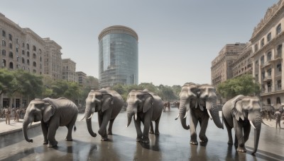 outdoors,sky,day,water,tree,no humans,animal,building,scenery,reflection,horse,puddle,walking,6+boys,city,road,street,elephant