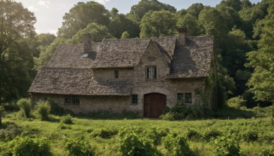 outdoors,sky,day,cloud,tree,no humans,window,grass,building,nature,scenery,forest,door,bush,house,blue sky,chimney