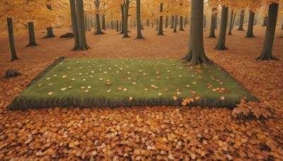 flower,outdoors,day,tree,petals,no humans,leaf,grass,nature,scenery,forest,rock,road,autumn leaves,autumn,falling leaves,orange theme,path