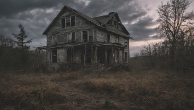 outdoors,sky,day,cloud,tree,no humans,window,cloudy sky,grass,building,nature,scenery,forest,house,bare tree,monochrome