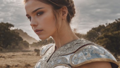 1girl,solo,looking at viewer,short hair,brown hair,brown eyes,closed mouth,upper body,braid,outdoors,sky,cloud,signature,hair bun,armor,blurry,black eyes,tree,lips,blurry background,cloudy sky,shoulder armor,portrait,nature,pauldrons,breastplate,realistic,nose,artist name,from side