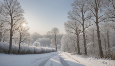 outdoors,sky,day,cloud,tree,blue sky,no humans,sunlight,grass,nature,scenery,snow,forest,mountain,road,winter,bare tree,landscape,monochrome,sun