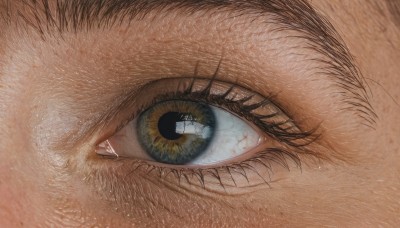 solo,looking at viewer,blue eyes,1boy,male focus,eyelashes,no humans,traditional media,close-up,1other,reflection,realistic,eye focus,yellow eyes