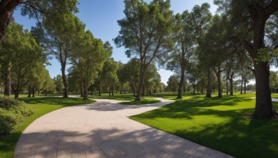 outdoors,sky,day,cloud,tree,blue sky,no humans,shadow,sunlight,grass,nature,scenery,forest,road,bush,shade,path,tree shade