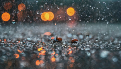 no humans, night, umbrella, moon, scenery