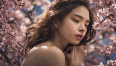 1girl, solo, long hair, brown hair, bare shoulders, brown eyes, upper body, flower, outdoors, parted lips, day, blurry, lips, depth of field, blurry background, cherry blossoms, realistic, nose