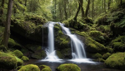 outdoors,day,water,tree,no humans,sunlight,nature,scenery,forest,rock,river,waterfall,moss,stream,bird,light rays,branch,landscape