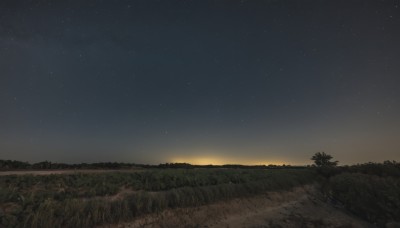 outdoors,sky,cloud,tree,no humans,night,grass,plant,star (sky),nature,night sky,scenery,starry sky,sunset,field,landscape,road