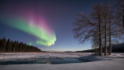 outdoors,sky,cloud,tree,no humans,night,grass,star (sky),nature,night sky,scenery,forest,starry sky,road,bare tree,aurora,water,blue sky,snow,winter,rainbow,landscape