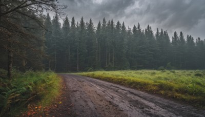 outdoors,sky,day,cloud,tree,dutch angle,no humans,cloudy sky,grass,plant,nature,scenery,forest,rain,road,bush,ruins,landscape,grey sky,path,overcast,field