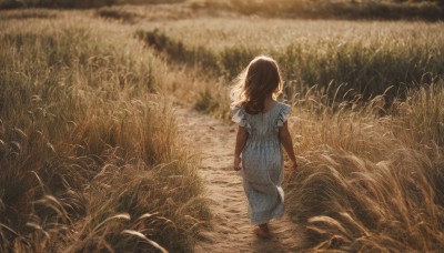 1girl,solo,long hair,brown hair,dress,standing,short sleeves,outdoors,barefoot,dark skin,from behind,white dress,blurry,dark-skinned female,depth of field,blue dress,grass,scenery,walking,arms at sides,facing away,field,day,from above,nature,wide shot