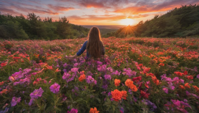 1girl, solo, long hair, brown hair, long sleeves, flower, outdoors, sky, cloud, from behind, tree, red flower, nature, scenery, forest, sunset, mountain, purple flower, horizon, facing away, field, flower field, landscape