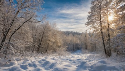 outdoors,sky,day,cloud,tree,blue sky,no humans,sunlight,cloudy sky,nature,scenery,snow,forest,mountain,sun,winter,bare tree,landscape,pine tree,water,reflection,sunrise