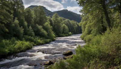 outdoors,sky,day,cloud,water,tree,blue sky,dutch angle,no humans,sunlight,cloudy sky,grass,nature,scenery,forest,rock,mountain,river,waterfall,landscape,ocean,bush