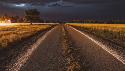 outdoors,sky,cloud,tree,no humans,night,cloudy sky,grass,star (sky),nature,night sky,scenery,forest,sunset,road,dark,field,landscape,path,hill,building,starry sky,fence,house,lamppost,evening