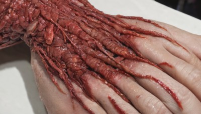 1girl,solo,shiny,blurry,no humans,close-up,1other,veins,realistic,meat,horror (theme),guro,simple background,white background,food,blood,blurry background,shadow,still life