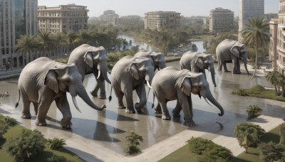 outdoors,sky,day,tree,no humans,shadow,animal,plant,building,scenery,dog,city,realistic,palm tree,road,street,crosswalk,cow,water,cityscape,horse,skyscraper,post-apocalypse