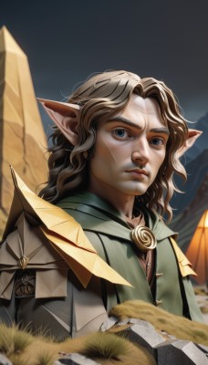 solo,long hair,looking at viewer,bangs,blue eyes,brown hair,1boy,closed mouth,upper body,male focus,outdoors,pointy ears,artist name,medium hair,cape,armor,blurry,blurry background,facial hair,animal,wavy hair,grass,parted lips,lips,scar,cat,thick eyebrows,elf,beard,wide-eyed,realistic