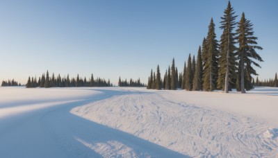 outdoors,sky,day,tree,blue sky,no humans,nature,scenery,snow,forest,mountain,winter,bare tree,landscape,gradient sky,pine tree,footprints