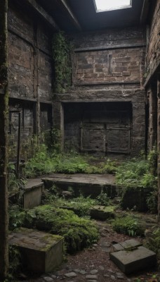 outdoors,day,indoors,dutch angle,no humans,window,sunlight,grass,plant,scenery,stairs,door,ruins,vines,arch,moss,overgrown,wall,brick wall