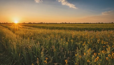 flower,outdoors,sky,cloud,blue sky,no humans,sunlight,cloudy sky,grass,scenery,sunset,mountain,yellow flower,sun,sunflower,field,flower field,evening,landscape,gradient sky,orange sky,plant,nature,mountainous horizon,yellow sky