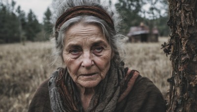 1girl,solo,looking at viewer,blue eyes,1boy,closed mouth,upper body,white hair,grey hair,male focus,hairband,outdoors,day,scarf,blurry,tree,depth of field,blurry background,portrait,realistic,old,old man,old woman,wrinkled skin,grey eyes,scar