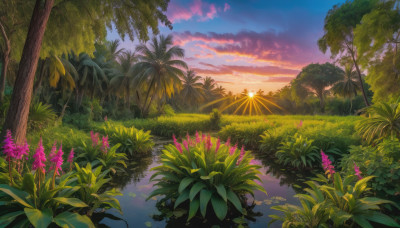 flower, outdoors, sky, cloud, water, tree, no humans, sunlight, cloudy sky, grass, plant, nature, scenery, reflection, sunset, sun