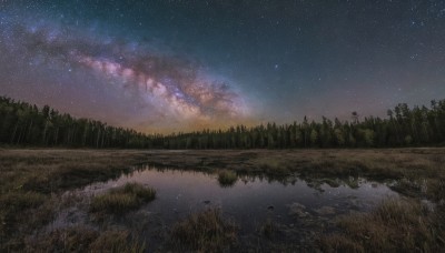 outdoors,sky,cloud,water,tree,no humans,night,grass,star (sky),nature,night sky,scenery,forest,starry sky,reflection,sunset,river,landscape,lake,reflective water,milky way