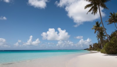 outdoors,sky,day,cloud,water,tree,blue sky,no humans,shadow,ocean,beach,cloudy sky,scenery,sand,palm tree,horizon,summer,shore,nature,island