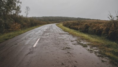 outdoors,sky,day,cloud,tree,no humans,cloudy sky,grass,nature,scenery,road,grey sky,path,overcast,bush,field,landscape