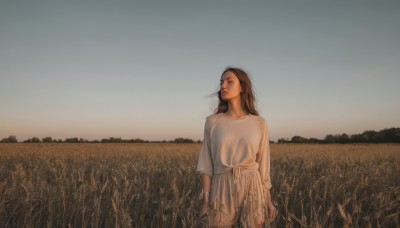 1girl,solo,long hair,brown hair,shirt,long sleeves,dress,standing,cowboy shot,outdoors,sky,white dress,grass,scenery,arms at sides,field,brown eyes,upper body,lips,looking to the side,looking away,wind,realistic,looking afar