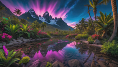 flower, outdoors, sky, water, tree, no humans, night, plant, star (sky), nature, night sky, scenery, starry sky, reflection, rock, mountain, palm tree, aurora