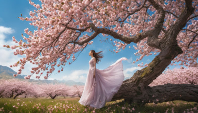 1girl, solo, long hair, brown hair, dress, standing, flower, outdoors, sky, sleeveless, day, cloud, white dress, tree, blue sky, petals, grass, cherry blossoms, wind, scenery