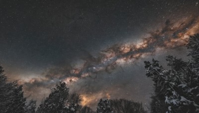 outdoors,sky,cloud,tree,no humans,night,cloudy sky,grass,star (sky),nature,night sky,scenery,forest,starry sky,sunset,pine tree,monochrome,star (symbol),milky way