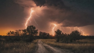 outdoors,sky,cloud,tree,no humans,night,cloudy sky,grass,star (sky),nature,night sky,scenery,forest,starry sky,sunset,electricity,lightning,landscape,path