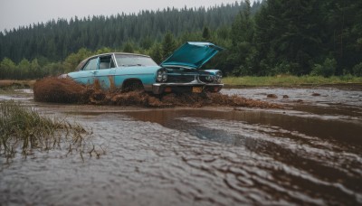 outdoors,day,tree,no humans,grass,ground vehicle,nature,scenery,motor vehicle,forest,realistic,car,road,vehicle focus,photo background,truck,sky,water,sports car