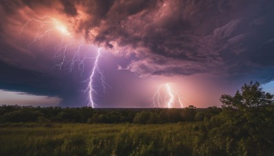 outdoors,sky,cloud,tree,no humans,cloudy sky,grass,nature,scenery,forest,sunset,electricity,lightning,landscape,horizon,field