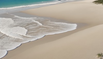 outdoors,sky,day,water,tree,no humans,shadow,ocean,beach,scenery,sand,horizon,waves,shore,footprints,simple background,still life